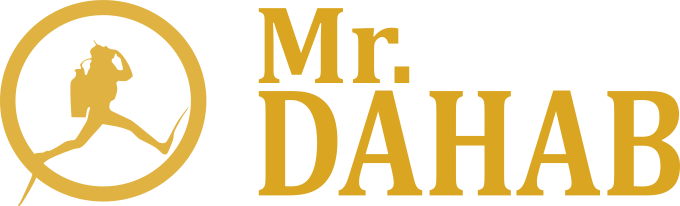 Mr. Dahab