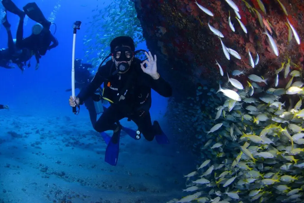dive, blue, diving deep, at the bottom of the ocean, passion, scuba diver, fins, ocean, nature, person, scuba, sea, swimming, underwater, water