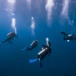 divers_underwater_bubbles_dahab_egypt